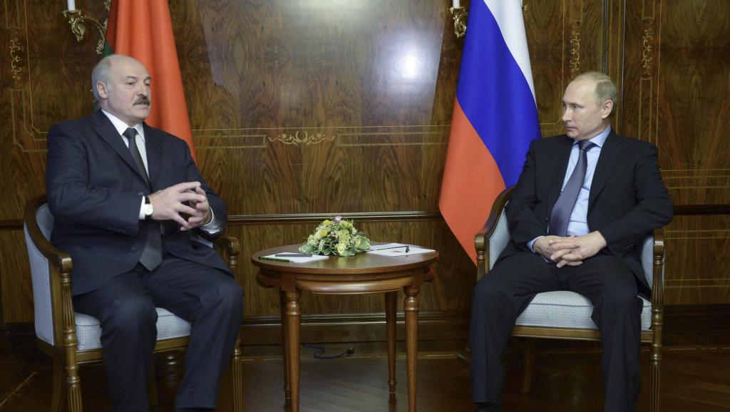 des bordels indonésiens utilisent des singes orangs-outans comme prostituées